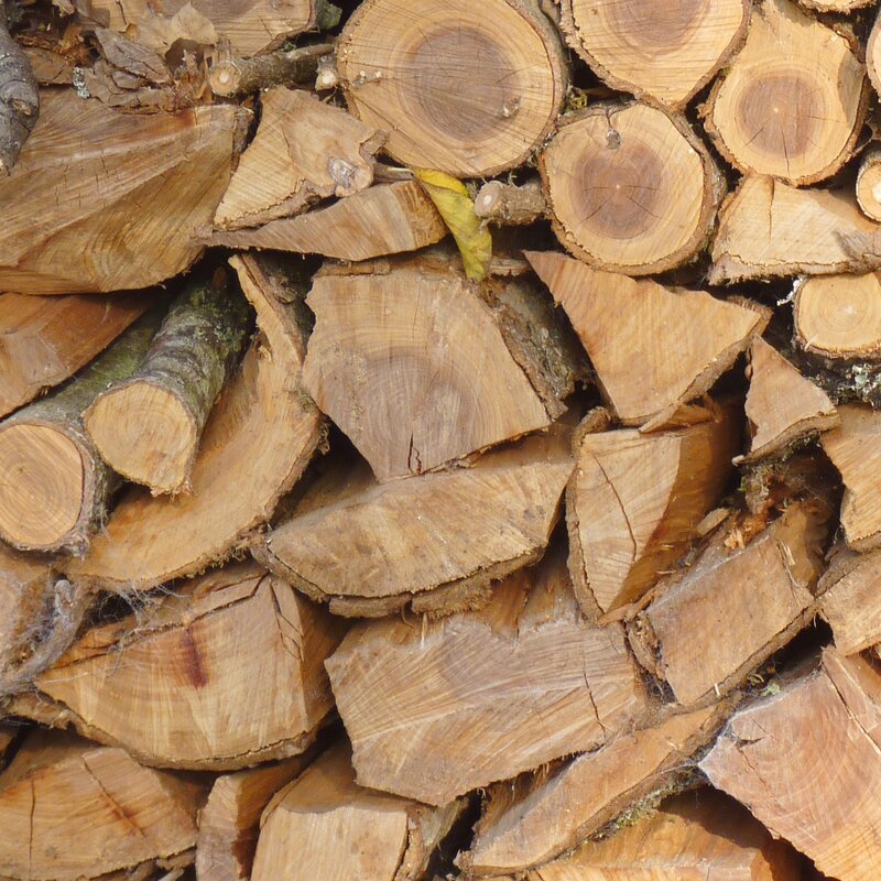 Wood logs for burning